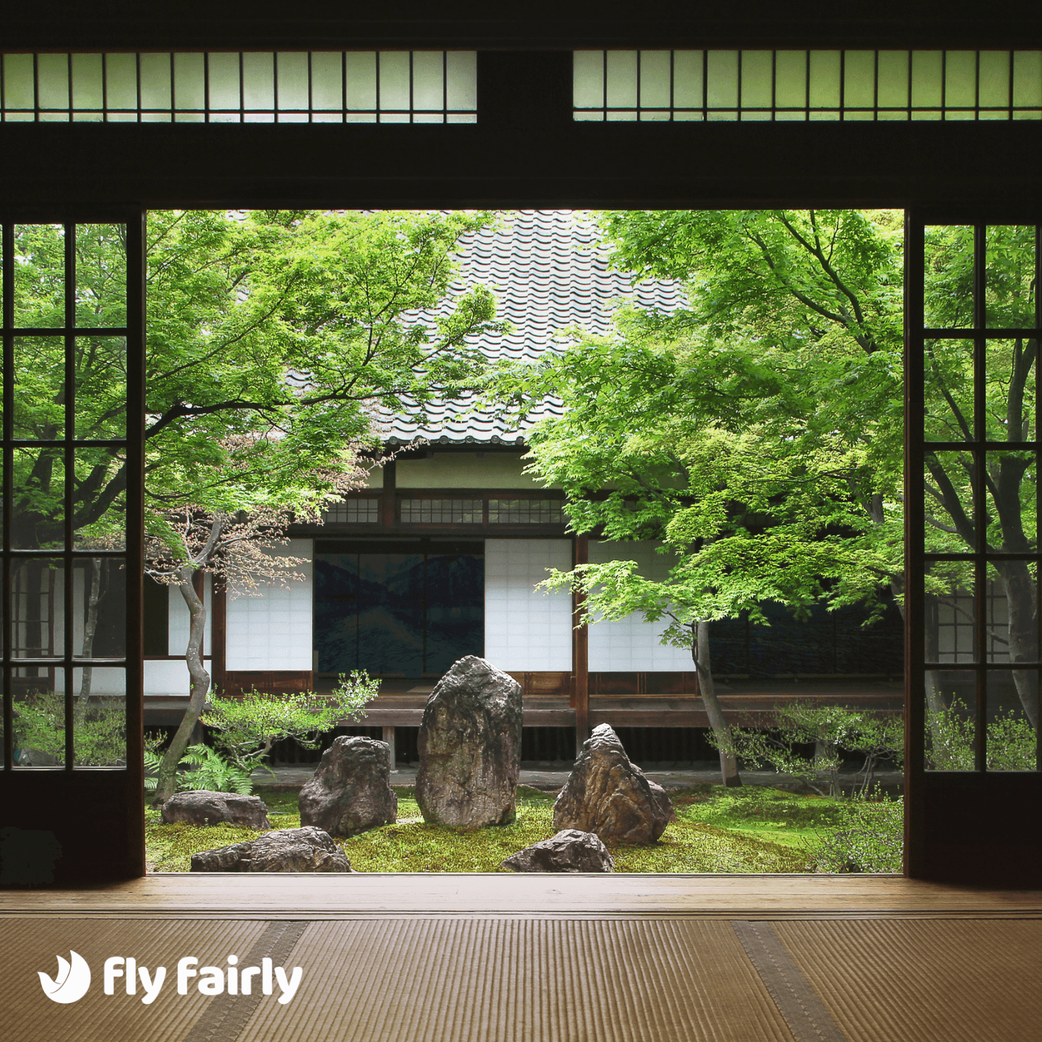 Best Time to Visit Japan 🌸