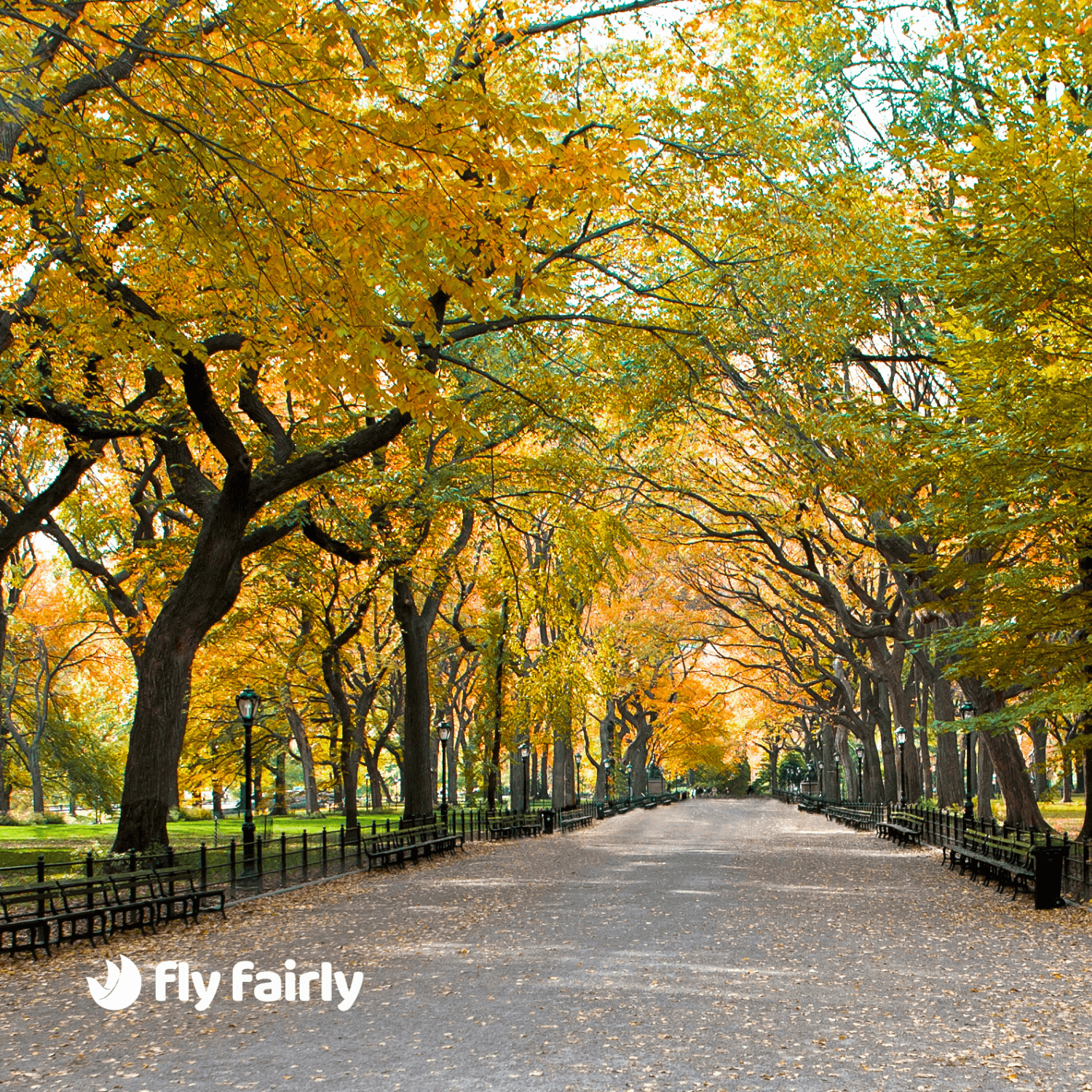 Tips for a Smooth Trip ✨