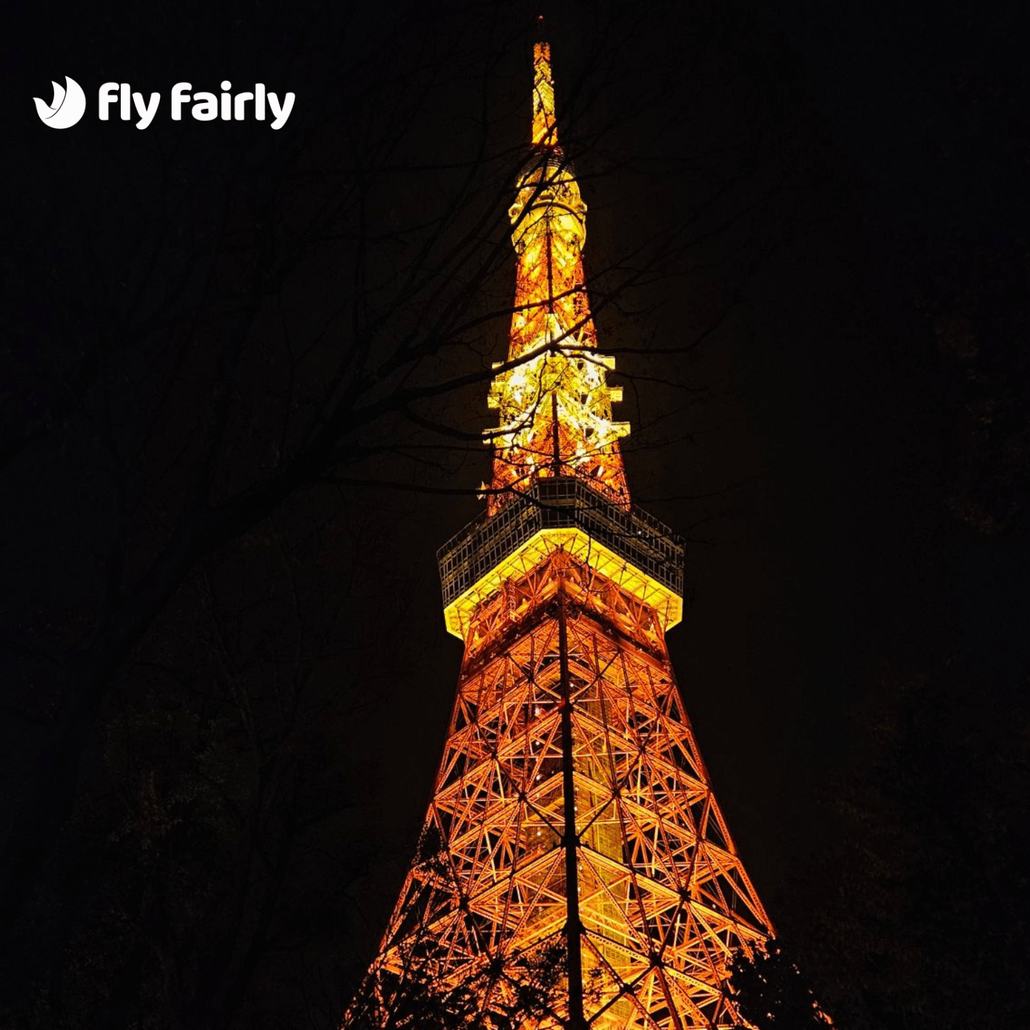 Flights to Tokyo ✈️