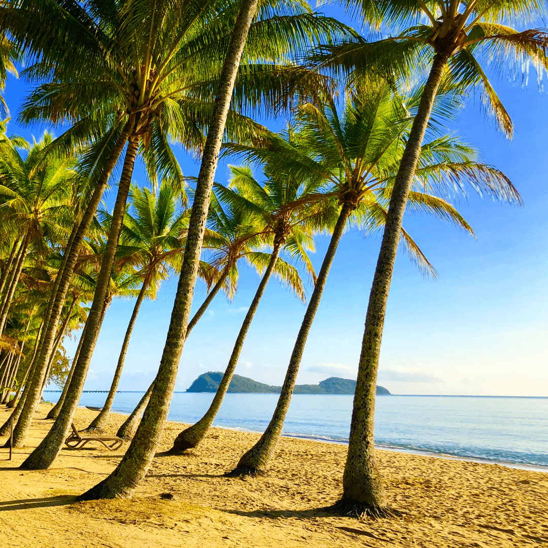 What Was Aloha Airlines? 🛩️