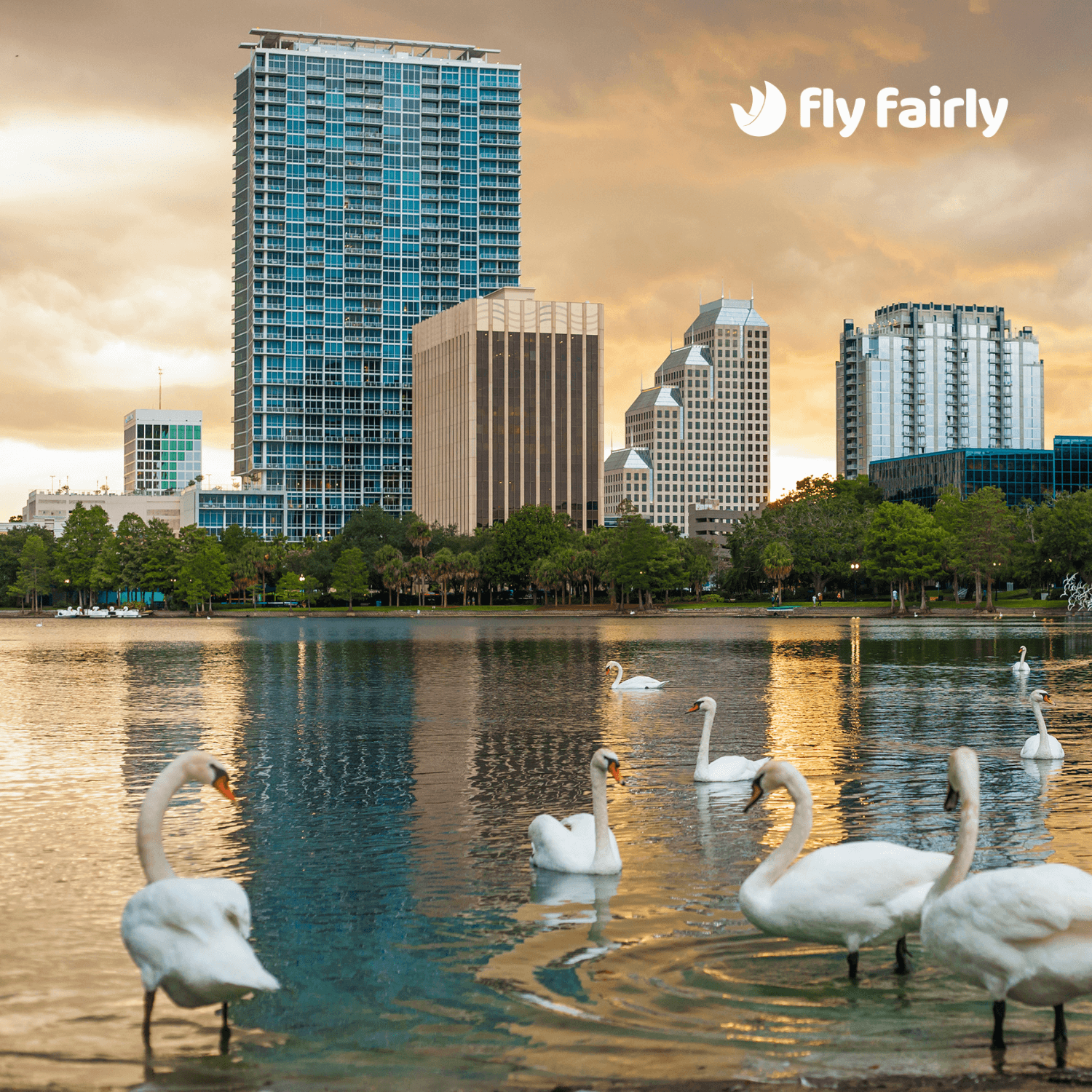 Do’s and Don’ts 🤔