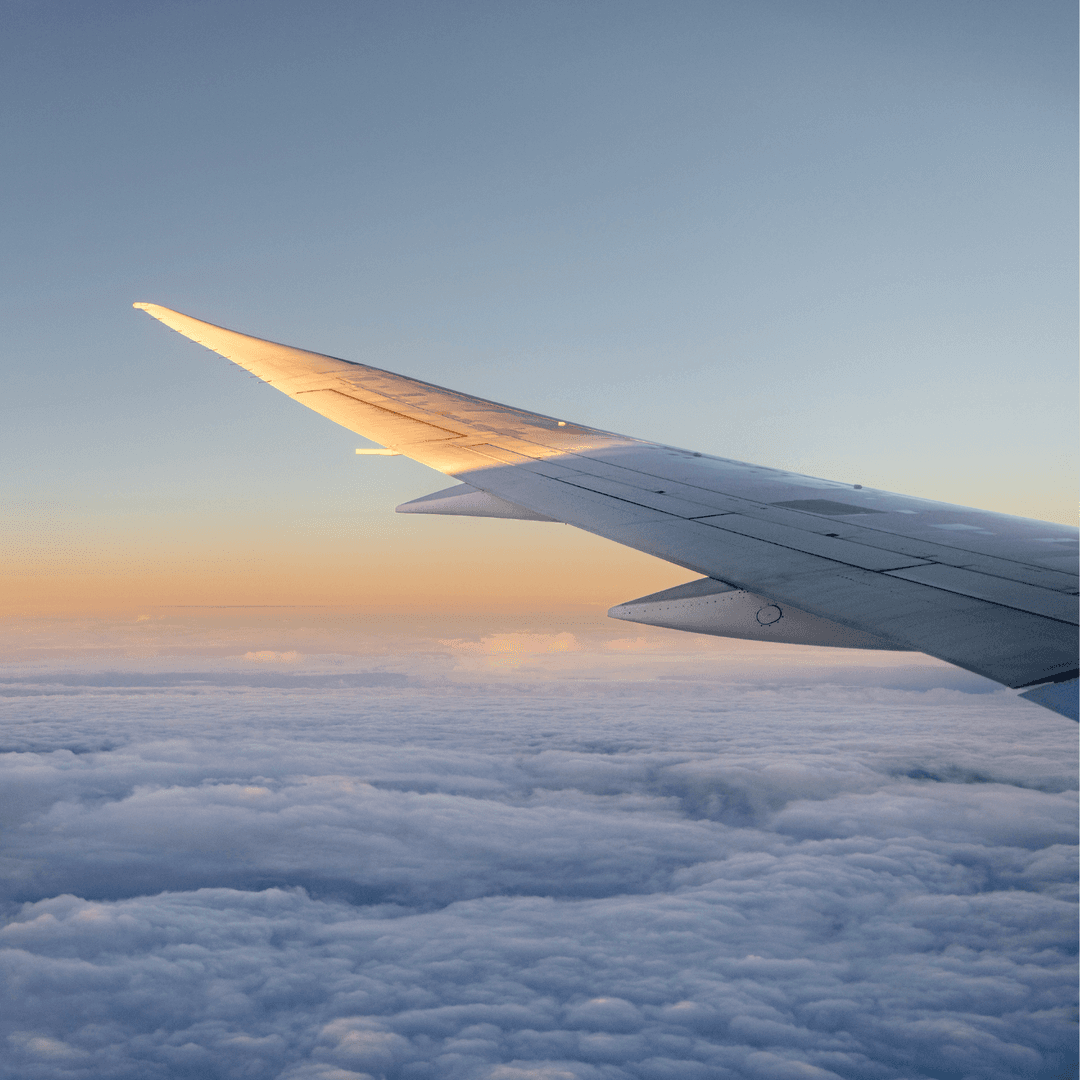 Buzz Loyalty Program: Miles of Rewards 🏅