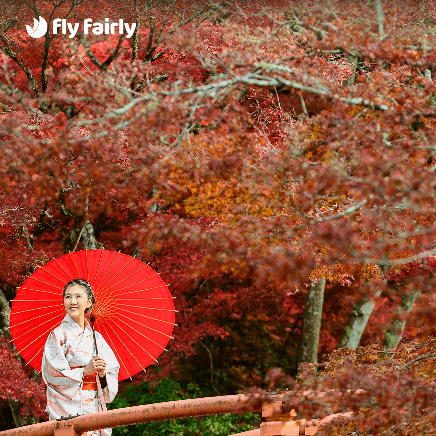 Do’s and Don’ts 🤔