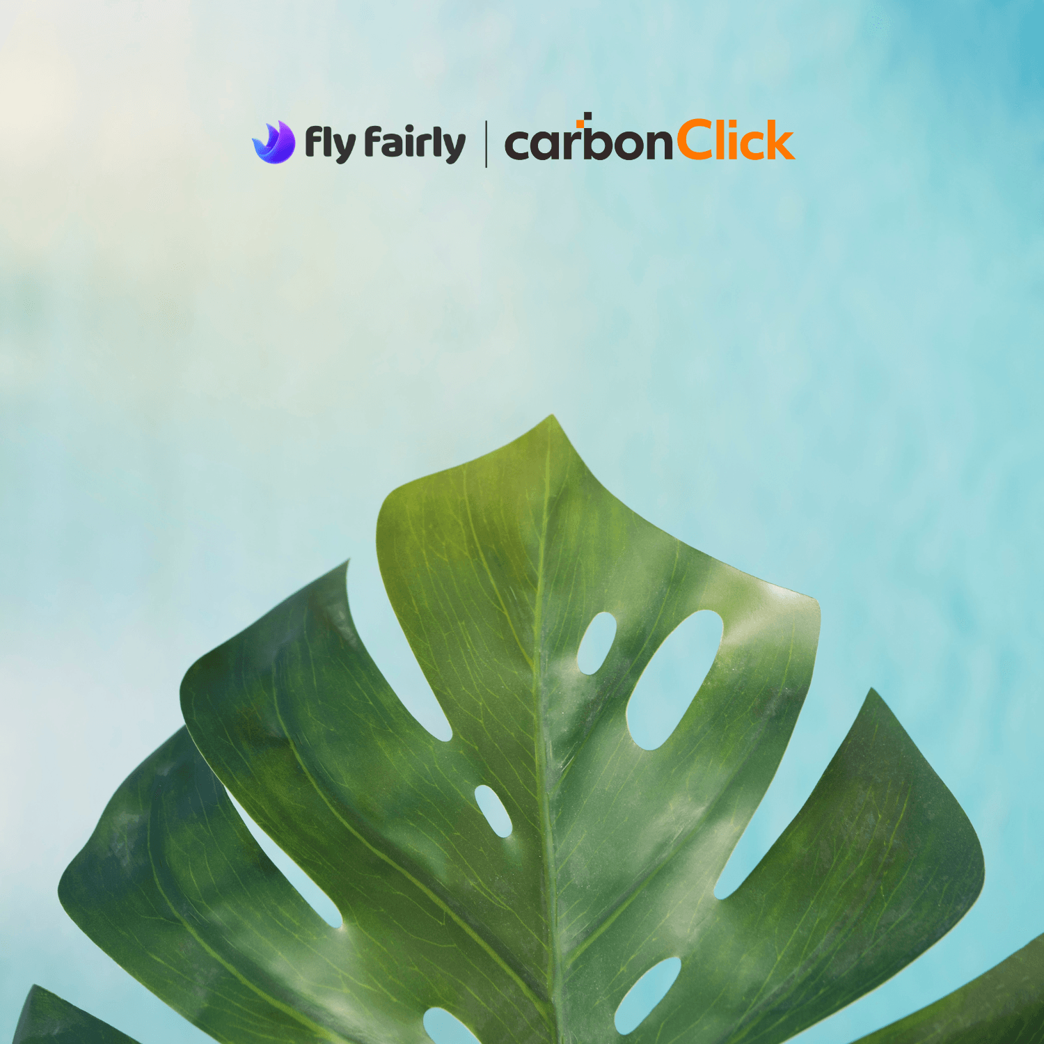 Transparency you can cite